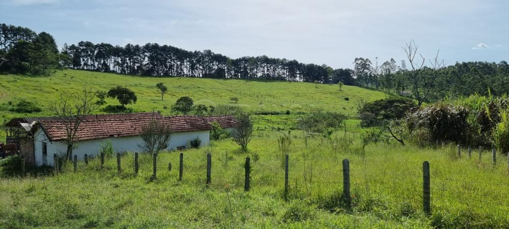 Comprar Rural / Sítio em Jacareí R$ 6.000.000,00 - Foto 7