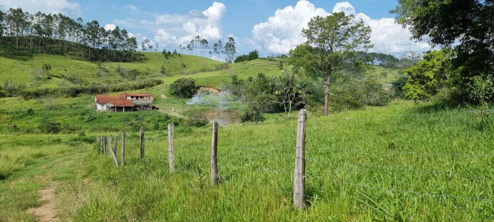 Comprar Rural / Sítio em Jacareí R$ 6.000.000,00 - Foto 13