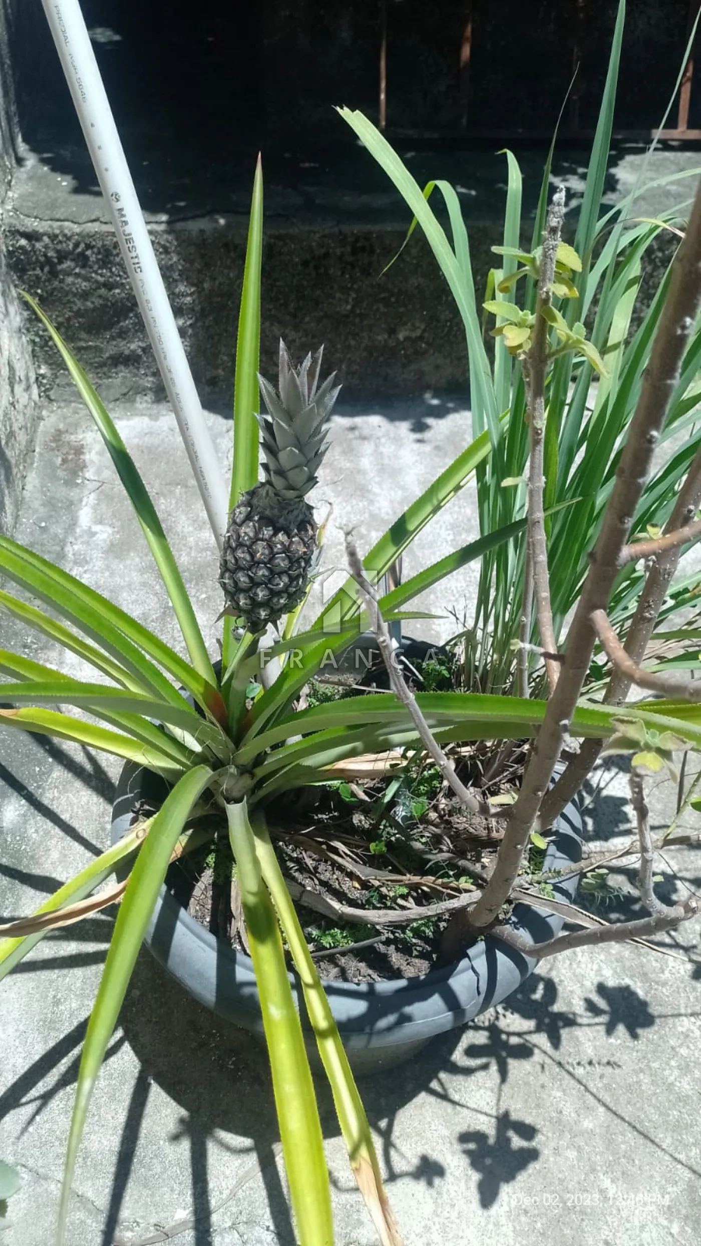 Alugar Casa / Padrão em Jacareí R$ 2.500,00 - Foto 19