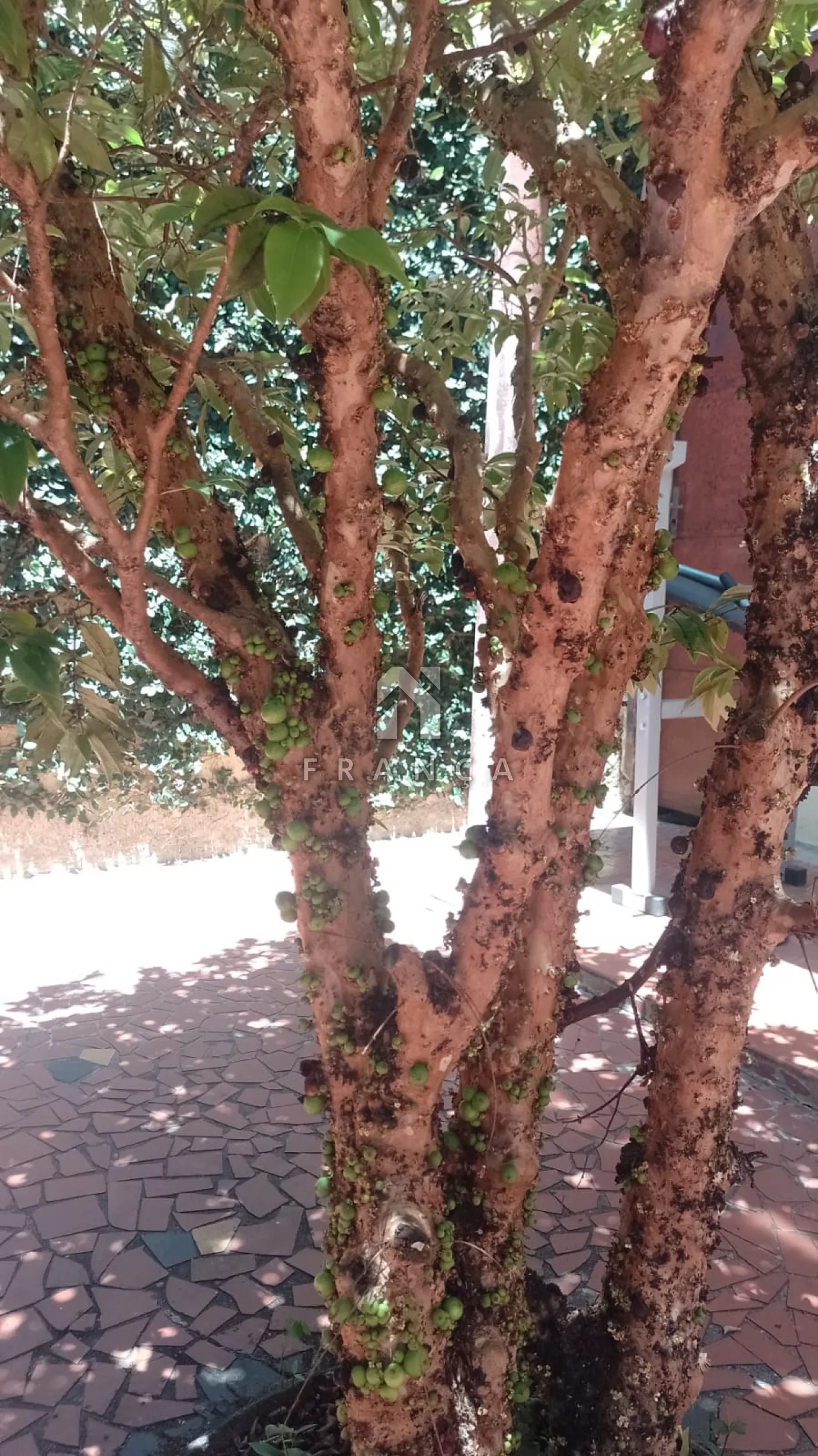 Alugar Casa / Padrão em Jacareí R$ 2.500,00 - Foto 20