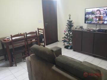Apartamento com 2 Dormitórios - Parque Santo Antônio