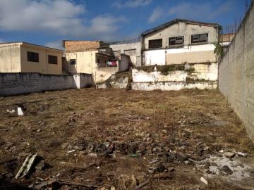 imagem 3 - Terreno - Padrão imagem 3 - Terreno - Padrão