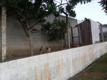imagem 5 - Rural - Chácara imagem 5 - Rural - Chácara