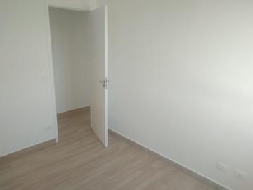 Apartamento 3 dormitórios