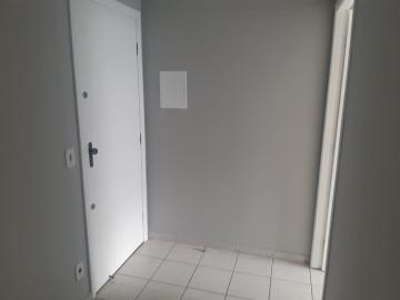 imagem 4 - Sala comercial de 27 m² no Jardim São Dimas - Locação imagem 4 - Sala comercial de 27 m² no Jardim São Dimas - Locação