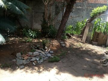 imagem 2 - CHÁCARA COM 3 DORMITÓRIOS CIDADE SALVADOR JACAREÍ imagem 2 - CHÁCARA COM 3 DORMITÓRIOS CIDADE SALVADOR JACAREÍ