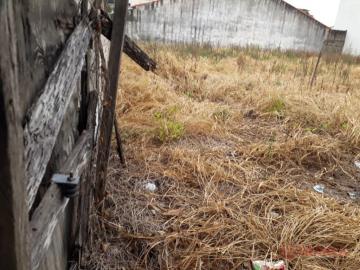 imagem 5 - Terreno - Padrão imagem 5 - Terreno - Padrão