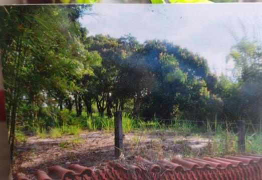 imagem 4 - Terreno - Área imagem 4 - Terreno - Área