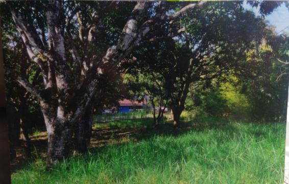 imagem 3 - Terreno - Área imagem 3 - Terreno - Área