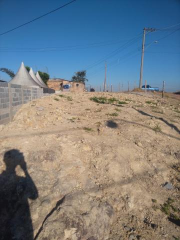 imagem 4 - Terreno no Bela Vista 2 imagem 4 - Terreno no Bela Vista 2