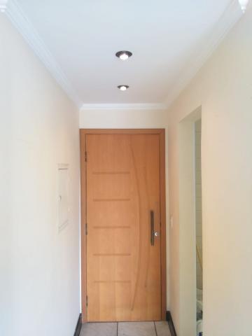 imagem 5 - Apartamento - Padrão imagem 5 - Apartamento - Padrão