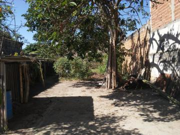 imagem 5 - Oportunidade de terreno murado na rua Cidade Engenheiro Neiva! imagem 5 - Oportunidade de terreno murado na rua Cidade Engenheiro Neiva!