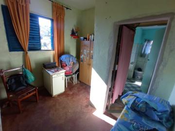 imagem 5 - Casa - Padrão imagem 5 - Casa - Padrão