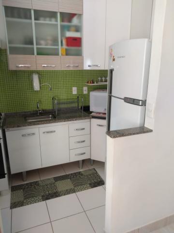 Alugar Apartamento / Padrão em Jacareí. apenas R$ 165.000,00