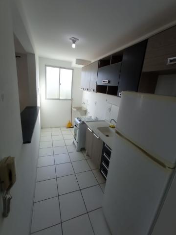 Alugar Apartamento / Padrão em Jacareí. apenas R$ 750,00