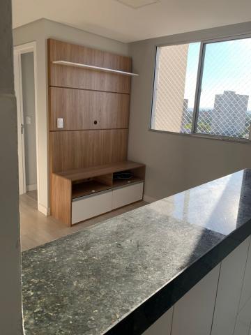 imagem 4 - Apartamento 2 dormitórios - Spazio Campo di Bragança - SJC - Locação imagem 4 - Apartamento 2 dormitórios - Spazio Campo di Bragança - SJC - Locação