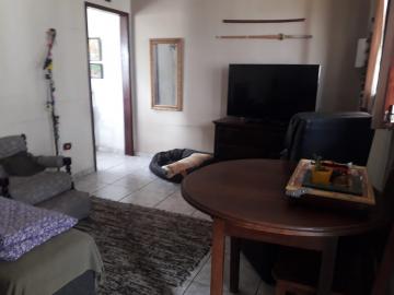imagem 5 - Casa - Padrão imagem 5 - Casa - Padrão
