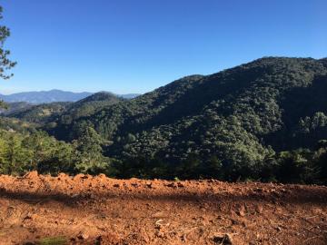 imagem 1 - TERRENO 1.767 M² SANTO ANTONIO DO PINHAL imagem 1 - TERRENO 1.767 M² SANTO ANTONIO DO PINHAL