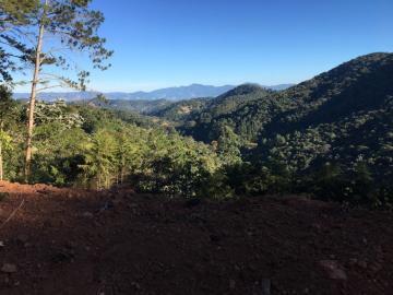imagem 3 - TERRENO 1.767 M² SANTO ANTONIO DO PINHAL imagem 3 - TERRENO 1.767 M² SANTO ANTONIO DO PINHAL