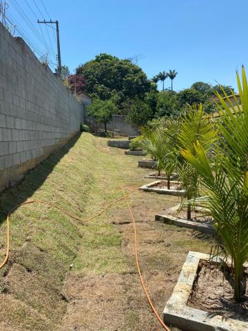 Linda Chácara no bairro da Pingolandia!