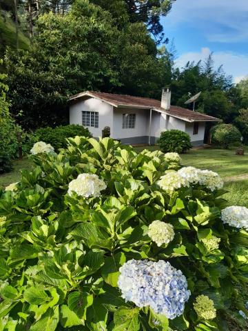 SITIO EM SAPUCAI MIRIM SERRA DA MATIQUEIRA!!!