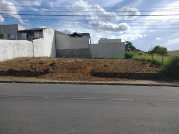 Óimo lote de 250m²