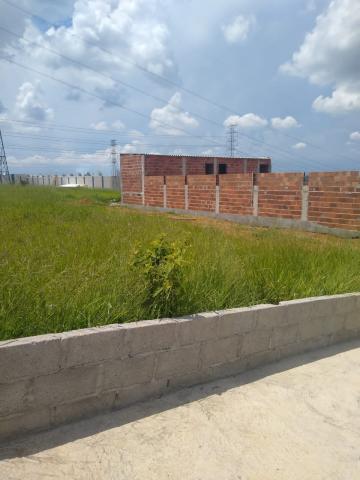 imagem 1 - Terreno - Padrão imagem 1 - Terreno - Padrão