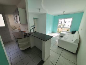 imagem 2 - Apartamento - Padrão imagem 2 - Apartamento - Padrão