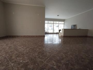 imagem 3 - CASA DE ALUGUEL 5 DORMITÓRIOS - CENTRO - JACAREÍ imagem 3 - CASA DE ALUGUEL 5 DORMITÓRIOS - CENTRO - JACAREÍ