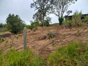 imagem 5 - EXCELENTE TERRENO NA CIDADE DE SANTA BRANCA imagem 5 - EXCELENTE TERRENO NA CIDADE DE SANTA BRANCA