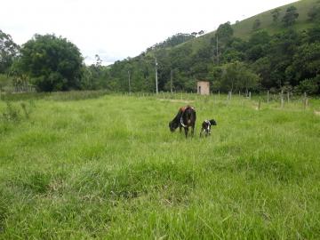 imagem 4 - Rural - Chácara imagem 4 - Rural - Chácara