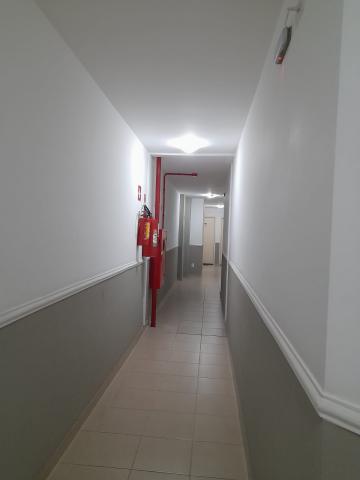 imagem 3 - APARTAMENTO EDIFICIO ORLEANS - CONJUNTO 31 DE MARÇO - ZONA SUL imagem 3 - APARTAMENTO EDIFICIO ORLEANS - CONJUNTO 31 DE MARÇO - ZONA SUL