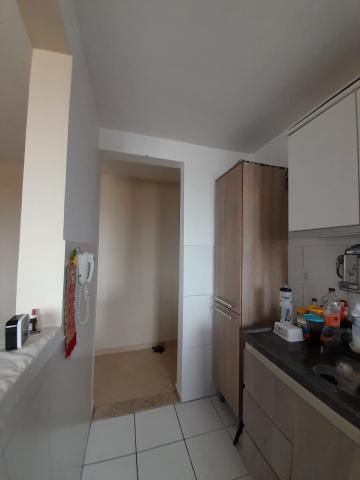 imagem 5 - APARTAMENTO EDIFICIO ORLEANS - CONJUNTO 31 DE MARÇO - ZONA SUL imagem 5 - APARTAMENTO EDIFICIO ORLEANS - CONJUNTO 31 DE MARÇO - ZONA SUL