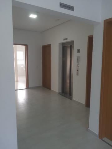 imagem 3 - Apartamento - Padrão imagem 3 - Apartamento - Padrão