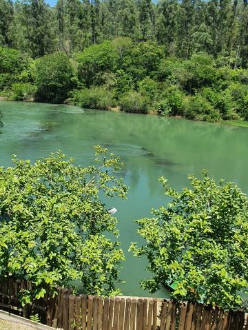 Chácara com Piscina em Santa Branca -SP