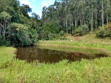 SITIO COM 350.900M² -  BAIRRO DO JACARÉ SANTA BRANCA