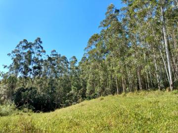 SITIO COM 350.900M² -  BAIRRO DO JACARÉ SANTA BRANCA