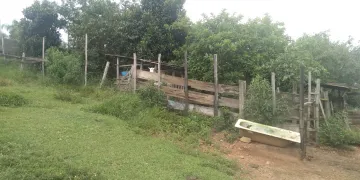 imagem 3 - Terreno - Área imagem 3 - Terreno - Área