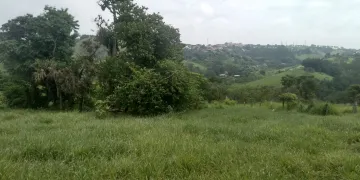 imagem 2 - Terreno - Área imagem 2 - Terreno - Área