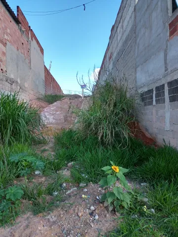 imagem 1 - Terreno - Padrão imagem 1 - Terreno - Padrão