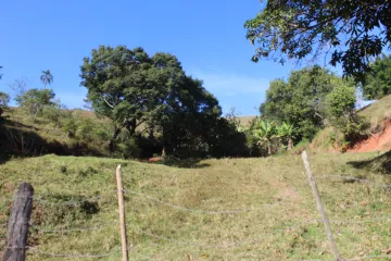 imagem 1 - ÁREA DE 24.000,OO M² - SÃO SILVESTRE JACAREI SP imagem 1 - ÁREA DE 24.000,OO M² - SÃO SILVESTRE JACAREI SP