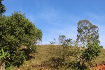 imagem 4 - ÁREA DE 24.000,OO M² - SÃO SILVESTRE JACAREI SP imagem 4 - ÁREA DE 24.000,OO M² - SÃO SILVESTRE JACAREI SP