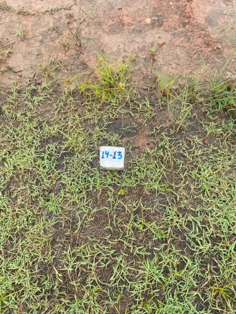 imagem 2 - Terreno - Padrão imagem 2 - Terreno - Padrão