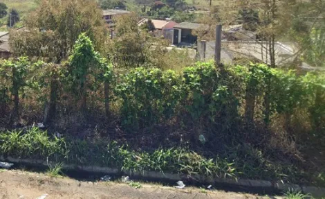 imagem 1 - Terreno - Padrão imagem 1 - Terreno - Padrão