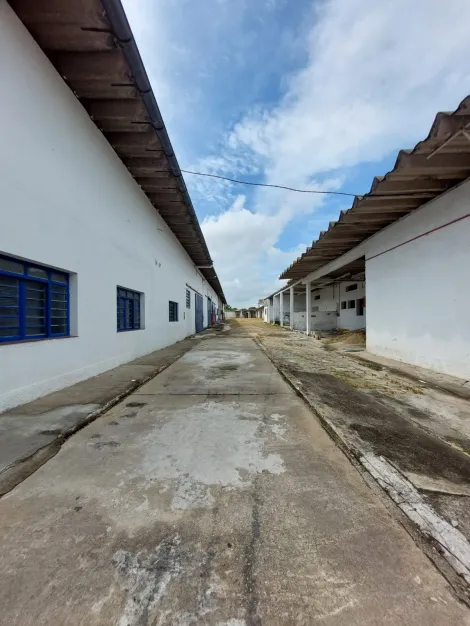 imagem 3 - Comercial - Galpão em Condomínio imagem 3 - Comercial - Galpão em Condomínio