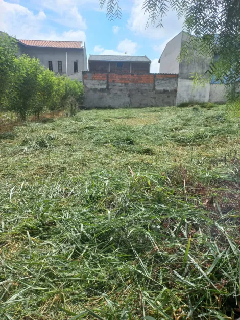 imagem 2 - Terreno - Padrão imagem 2 - Terreno - Padrão