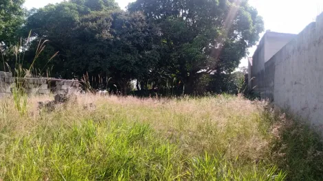 imagem 4 - Terreno - Padrão imagem 4 - Terreno - Padrão