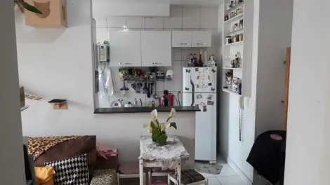 imagem 2 - Apartamento - Padrão imagem 2 - Apartamento - Padrão