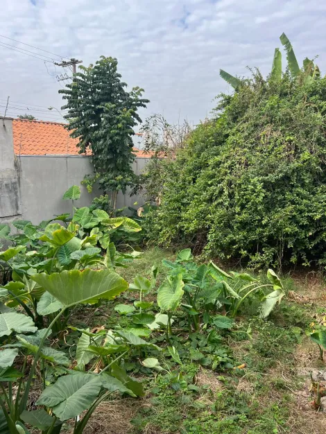 imagem 4 - Terreno - Padrão imagem 4 - Terreno - Padrão
