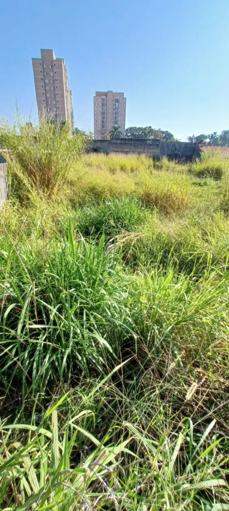 imagem 4 - Terreno - Padrão imagem 4 - Terreno - Padrão